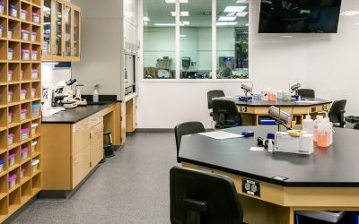Science classroom with laboratory workstations, microscopes, storage cubbies, sinks, and a preparation room visible through interior windows, designed to support hands-on learning and collaboration.